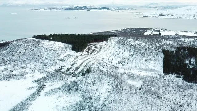Snødekket landskap